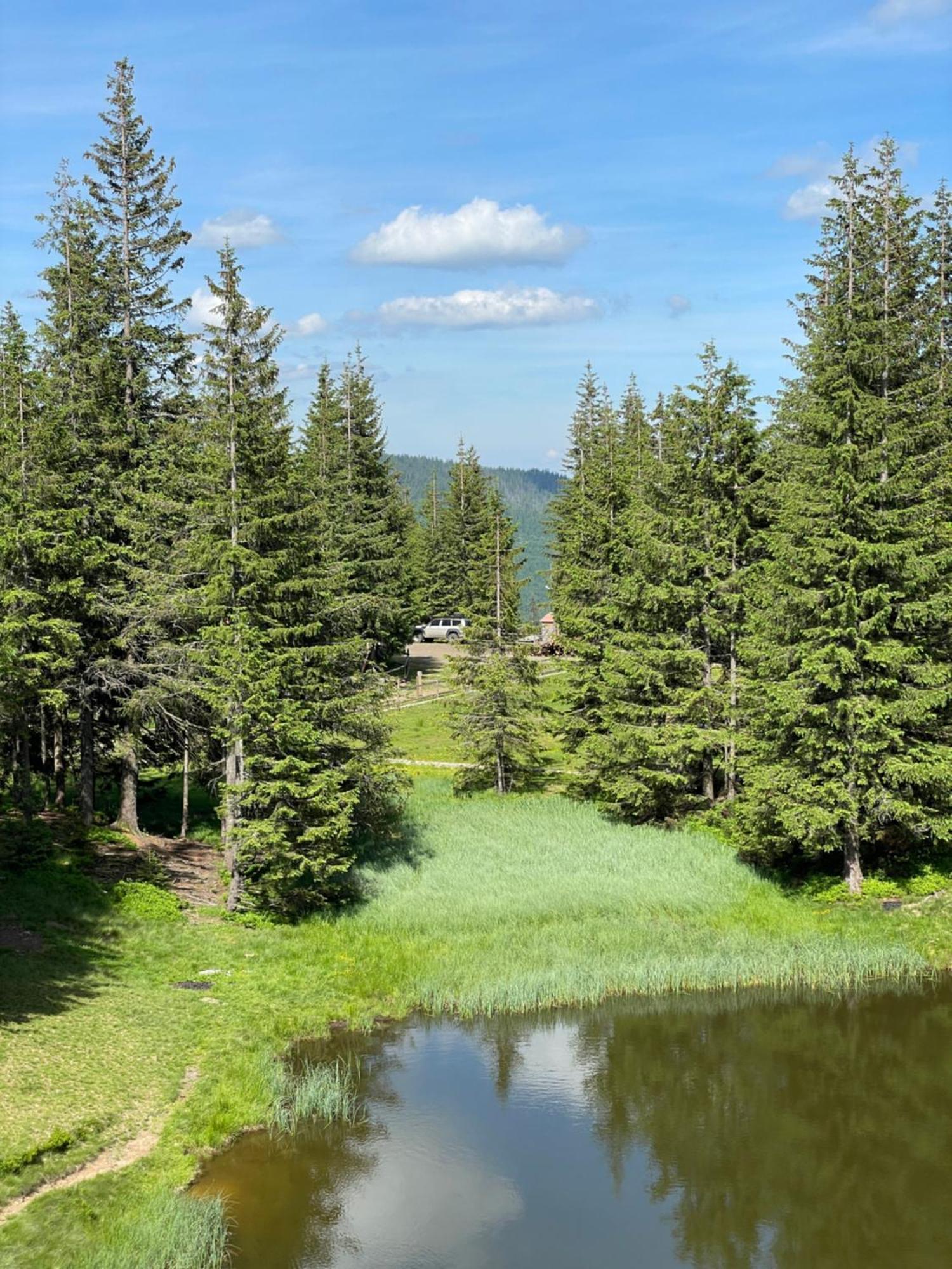 Оаза Hotel Dragobrat Luaran gambar